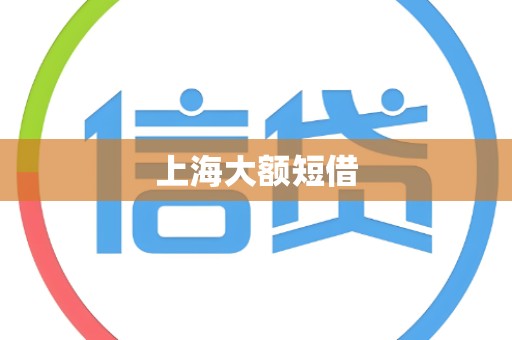 上海大额短借