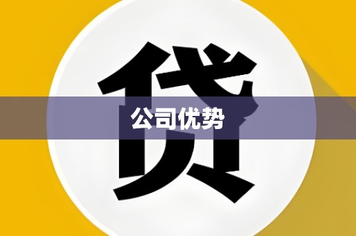 公司优势