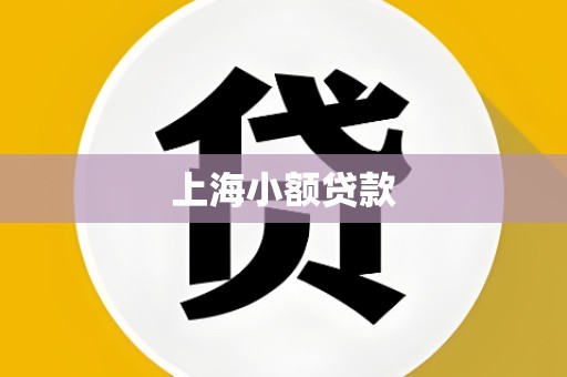 上海小额贷款